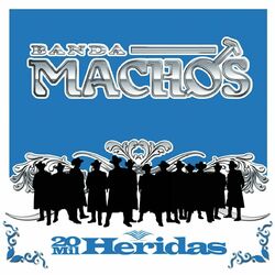 Cover of 20 Mil Heridas