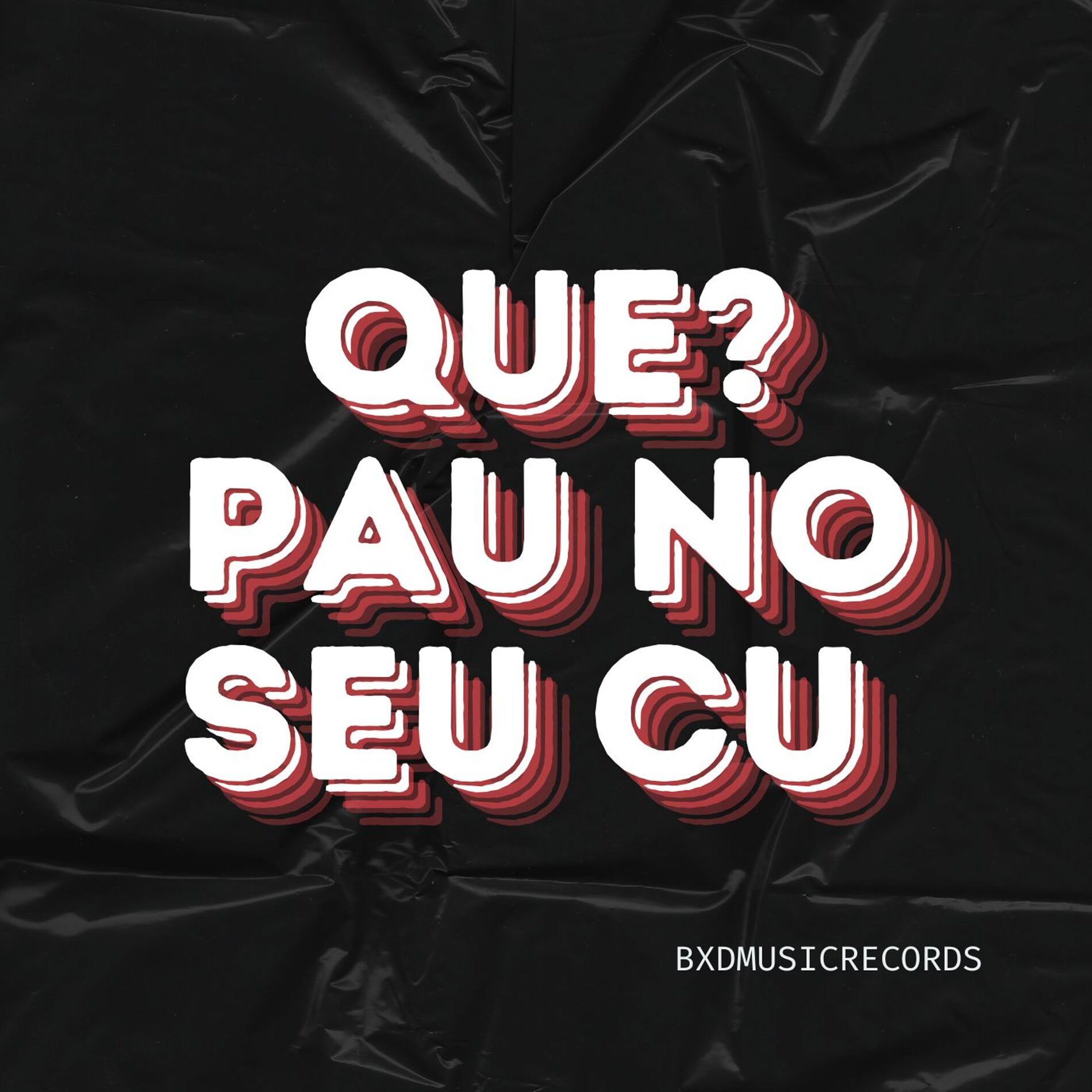 Album cover of QUE ? PAU NO SEU CU