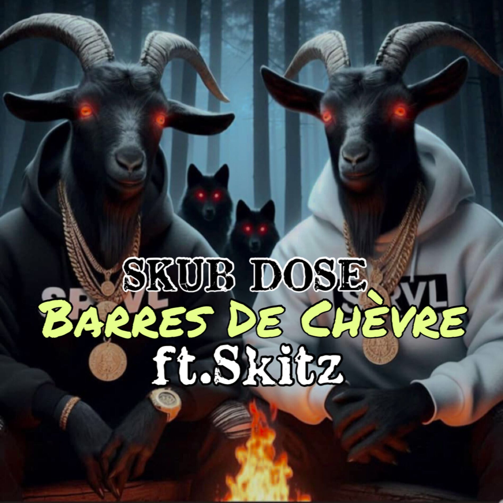 Album cover of Barres De Chévre