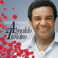 A Galeria Do Amor