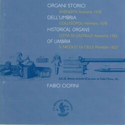 Cover of Historical Organs of Umbria (Italy)