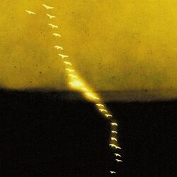 Cover of Breaking The Chain