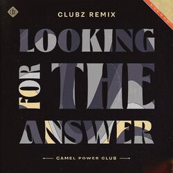 Cover of Looking For the Answer (CLUBZ Remix)