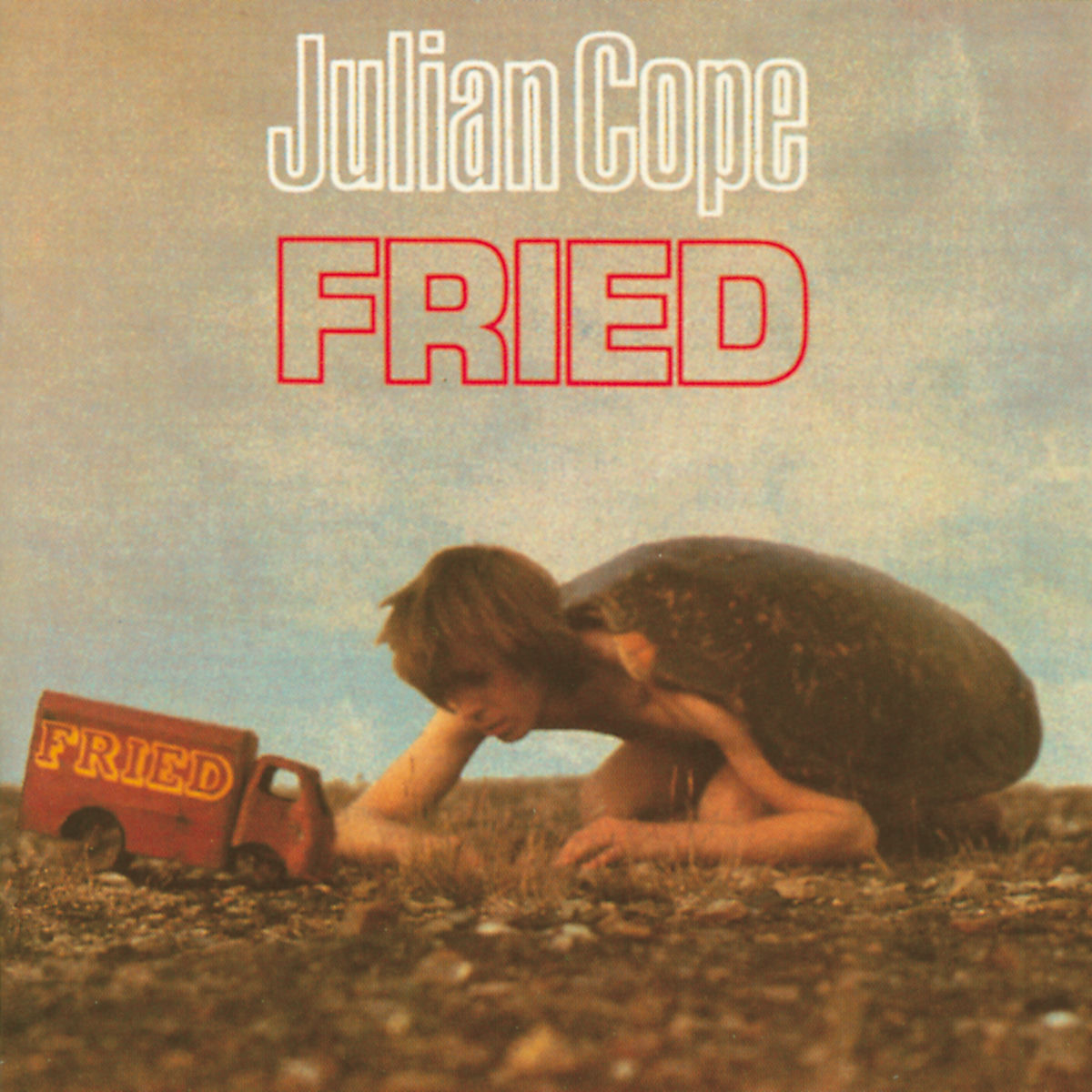 Album cover of Fried