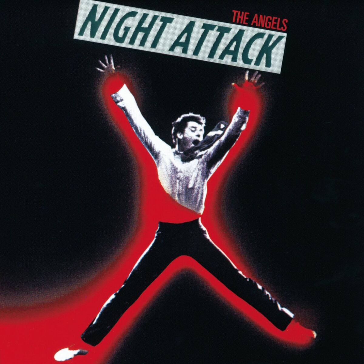Album cover of Night Attack
