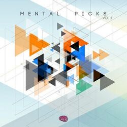 Cover of Mental Picks Vol.1