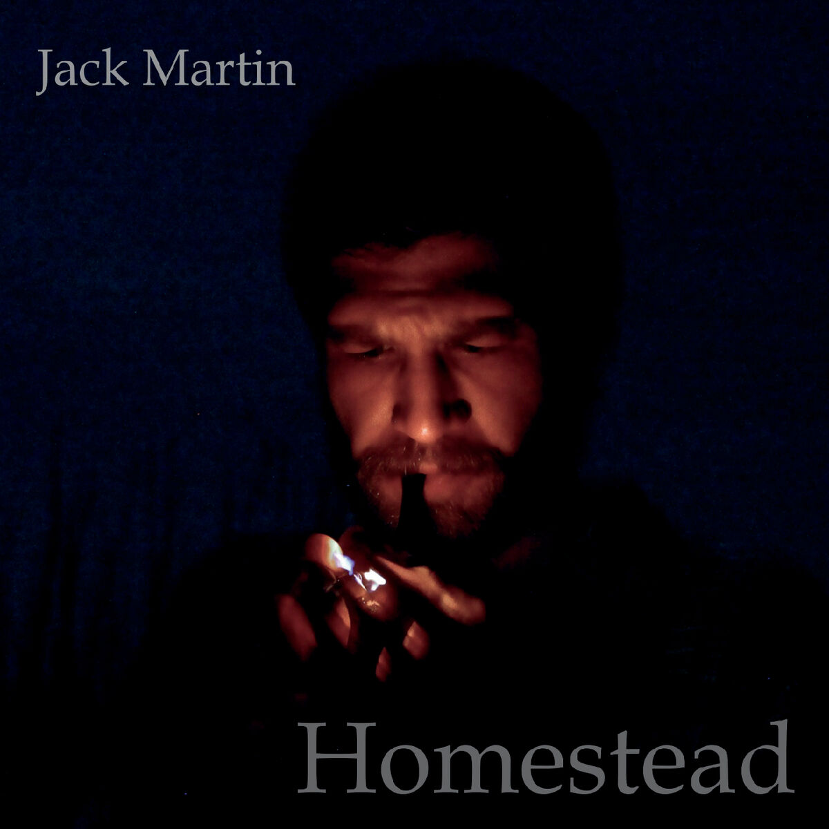 Album cover of Homestead