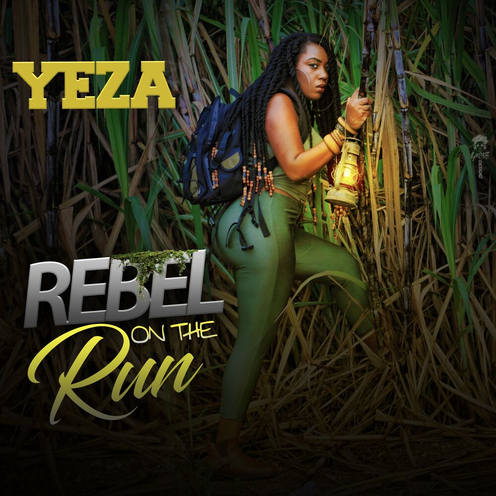 Picture of Rebel on the Run