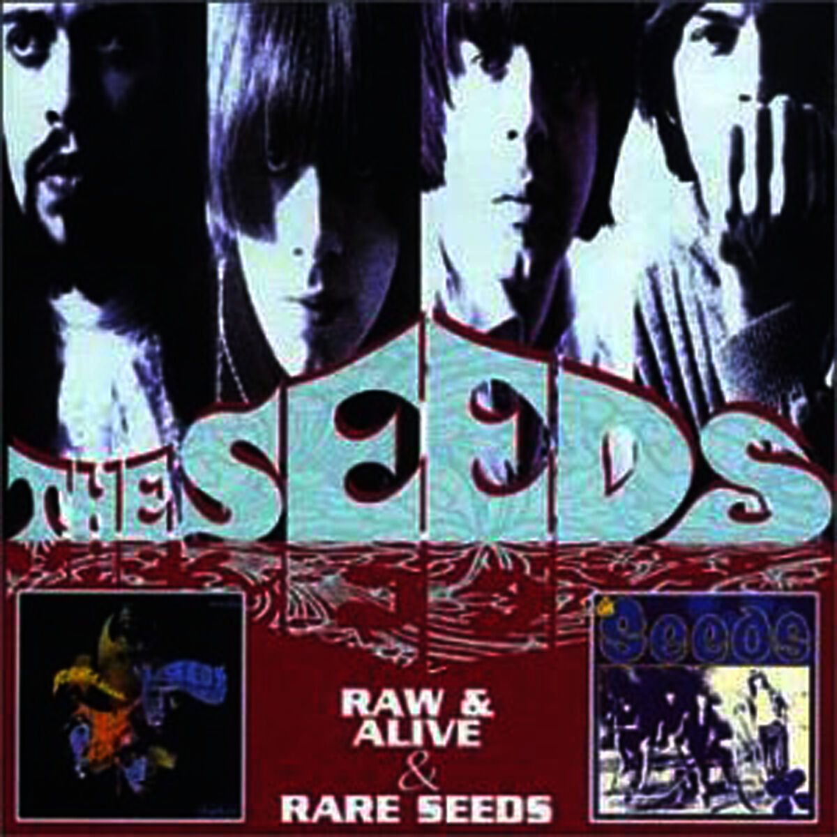 Album cover of Raw & Alive