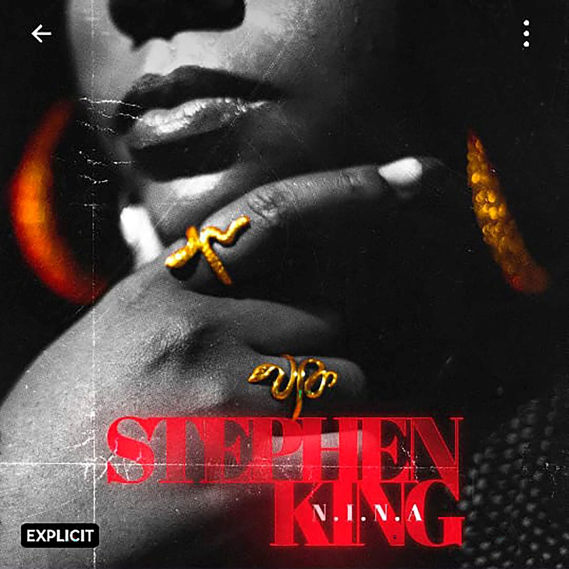 Album cover of Stephen King