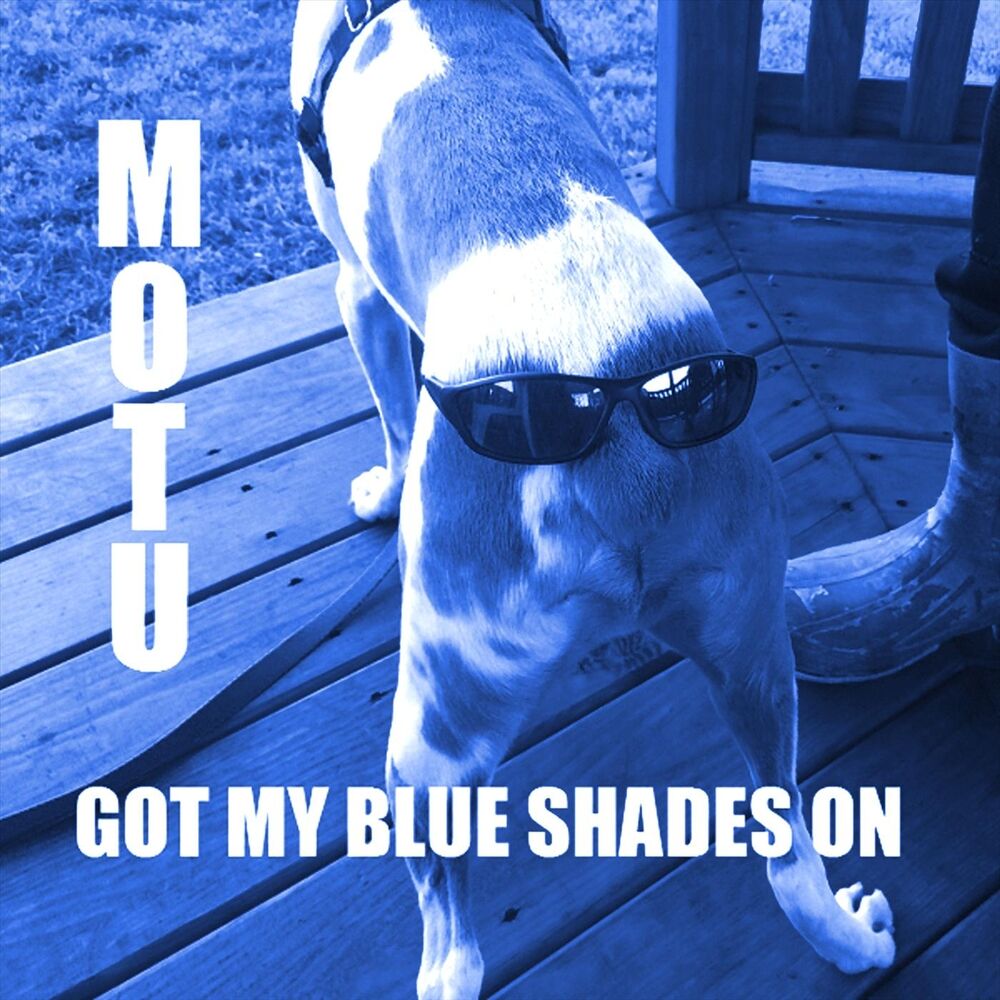 Picture of Got My Blue Shades On