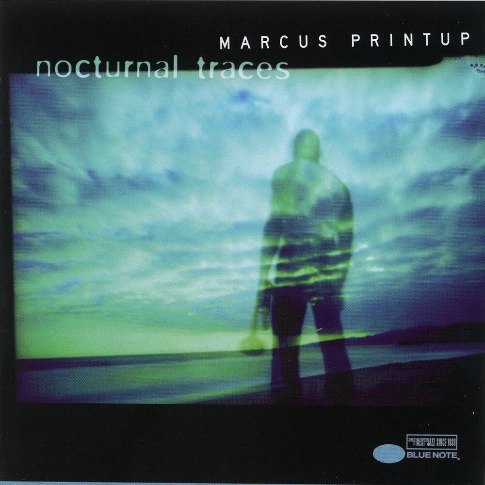 Picture of Nocturnal Traces