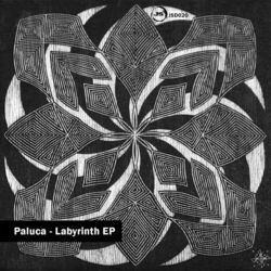 Cover of Labyrinth