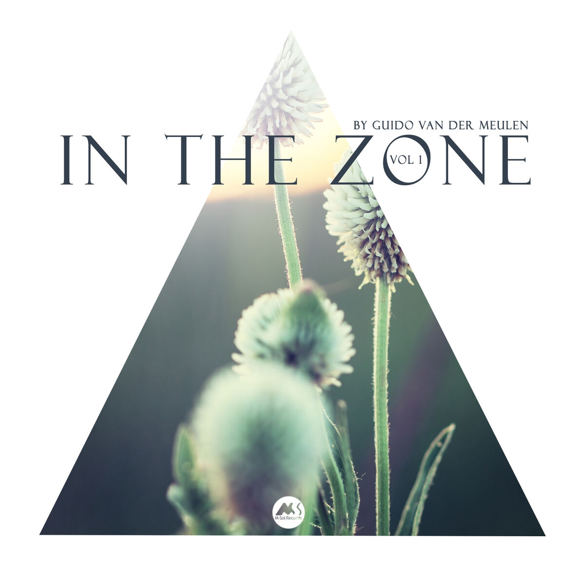 Album cover of In the Zone Vol 1