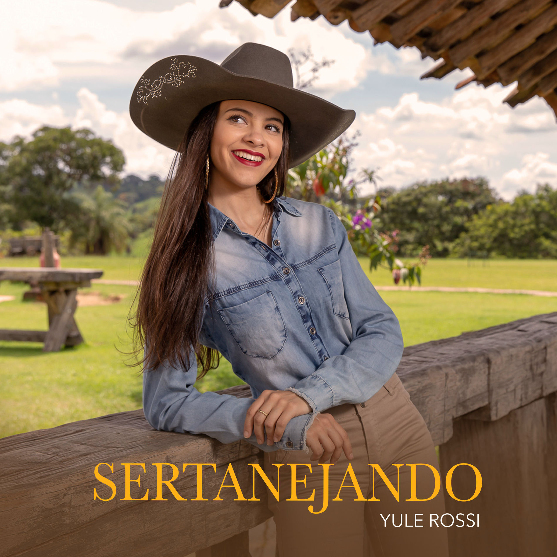 Album cover of Sertanejando
