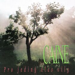 Cover of Pro jediný vlas víly
