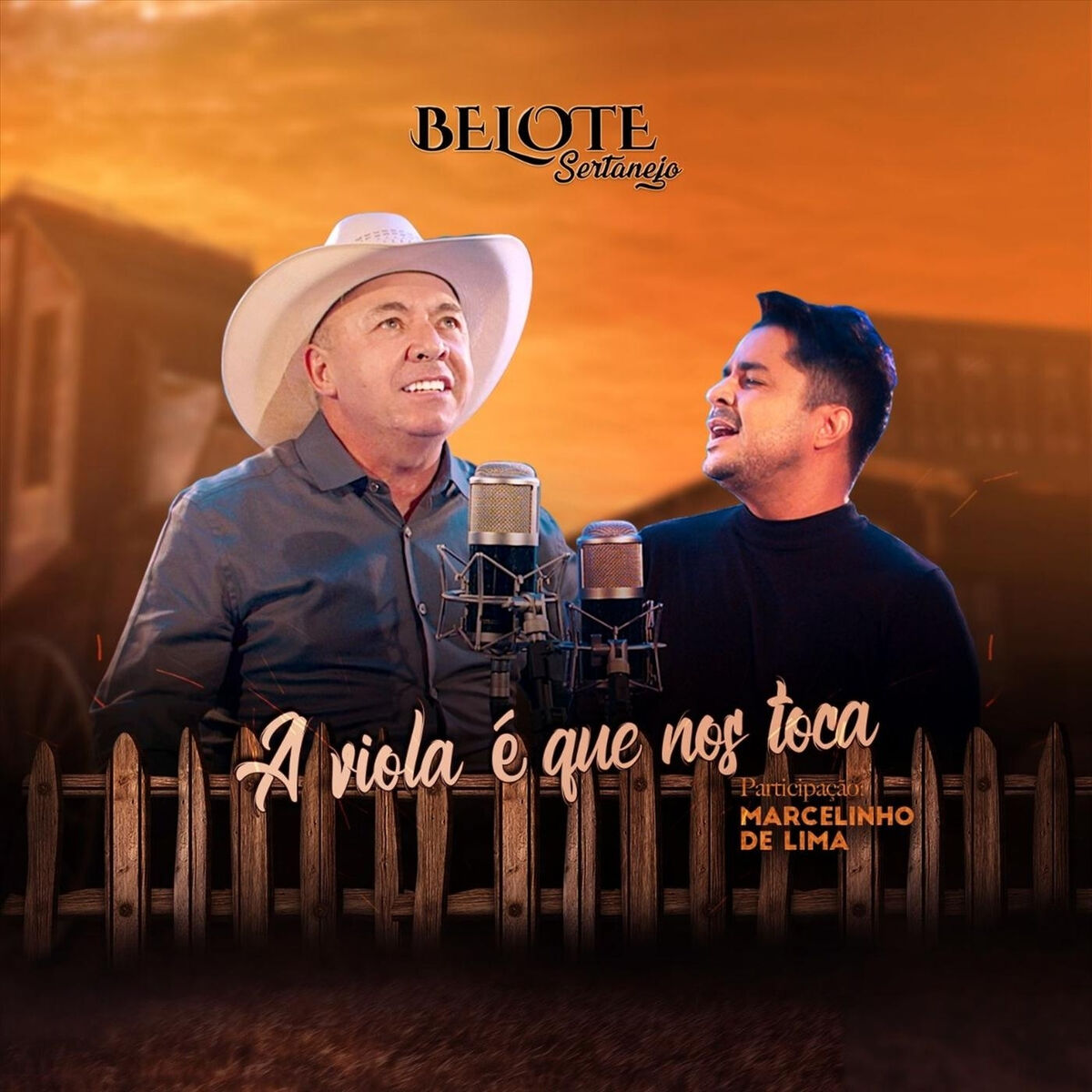 Album cover of A Viola É Que nos Toca