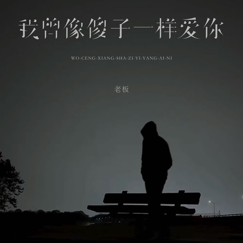 我曾像傻子一样爱你