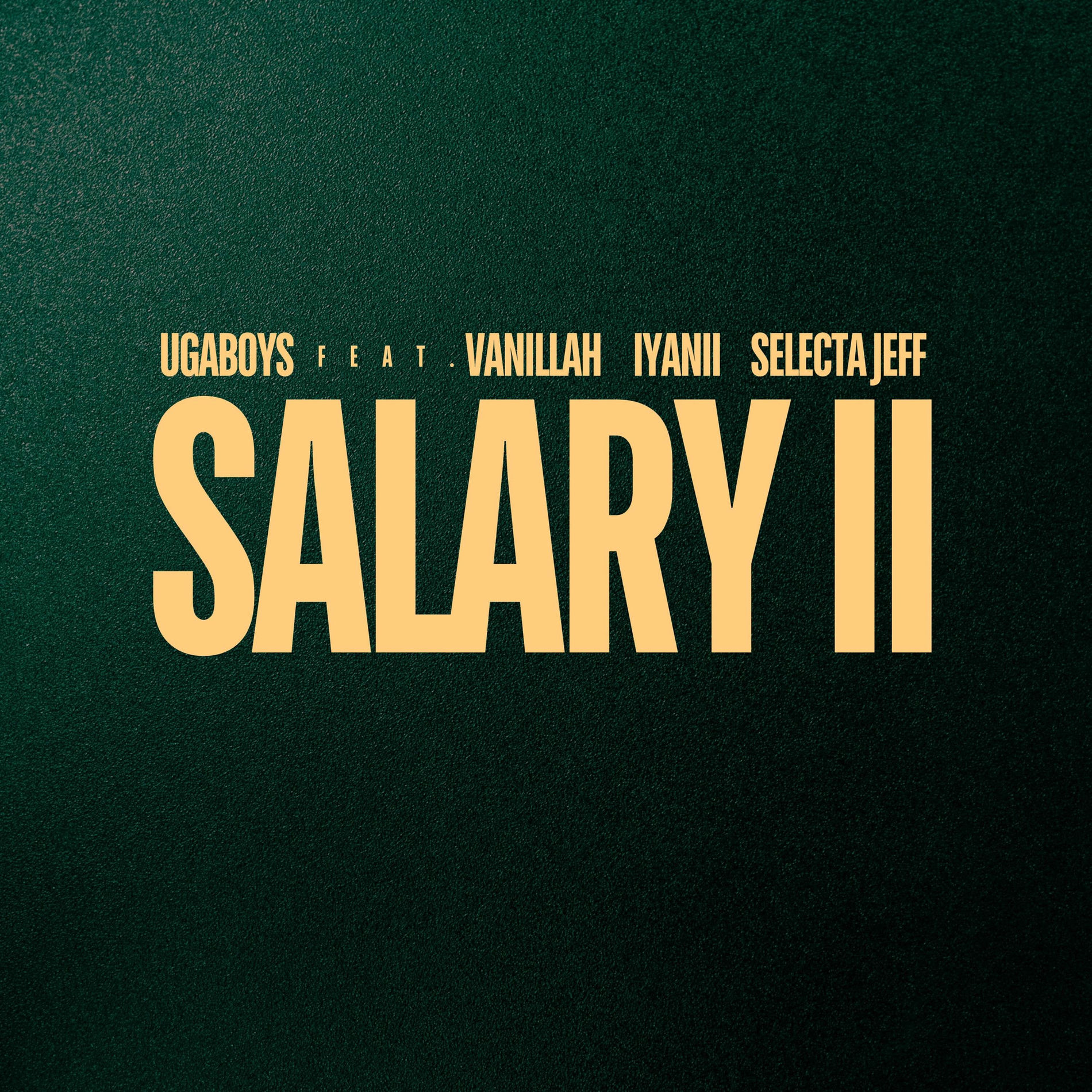 Album cover of Salary II (feat. Vanillah, Iyanii & Selecta Jeff)
