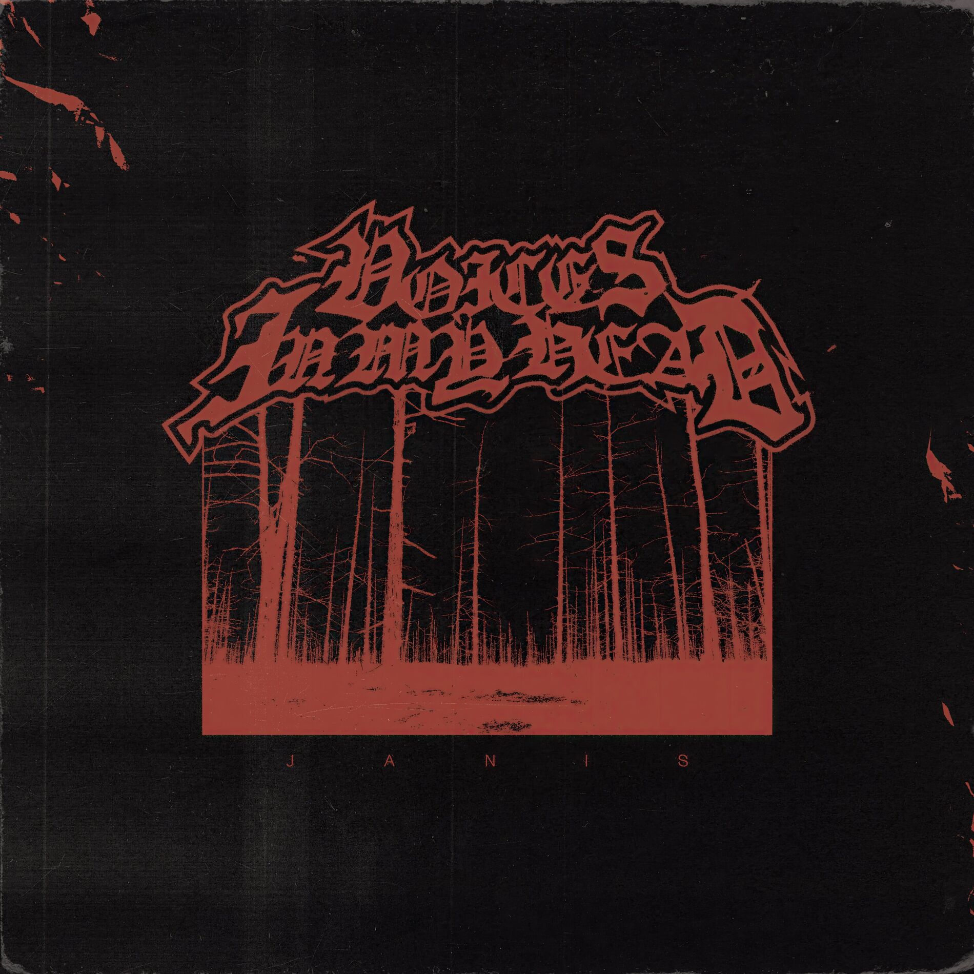 Album cover of Voices In My Head