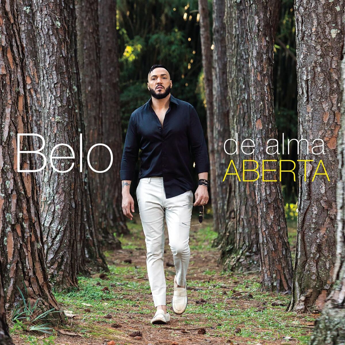 Album cover of De Alma Aberta