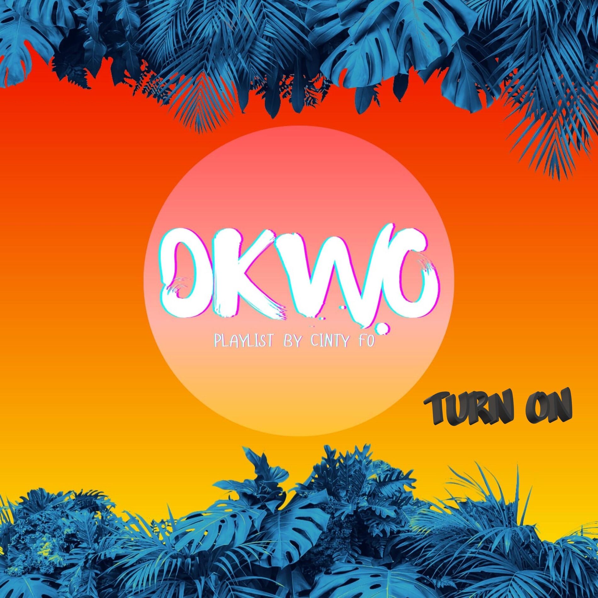 Album cover of DKWO TURN ON