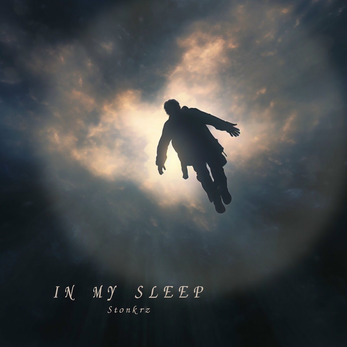 Album cover of In My Sleep