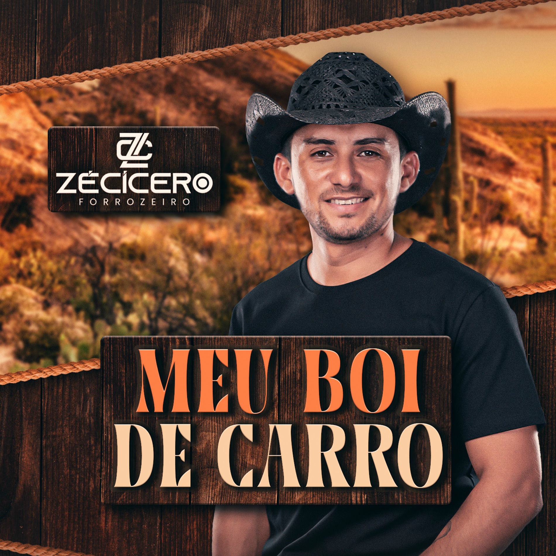 Album cover of Meu Boi de Carro