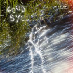 Cover of Goodbye