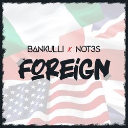 Cover of Foreign