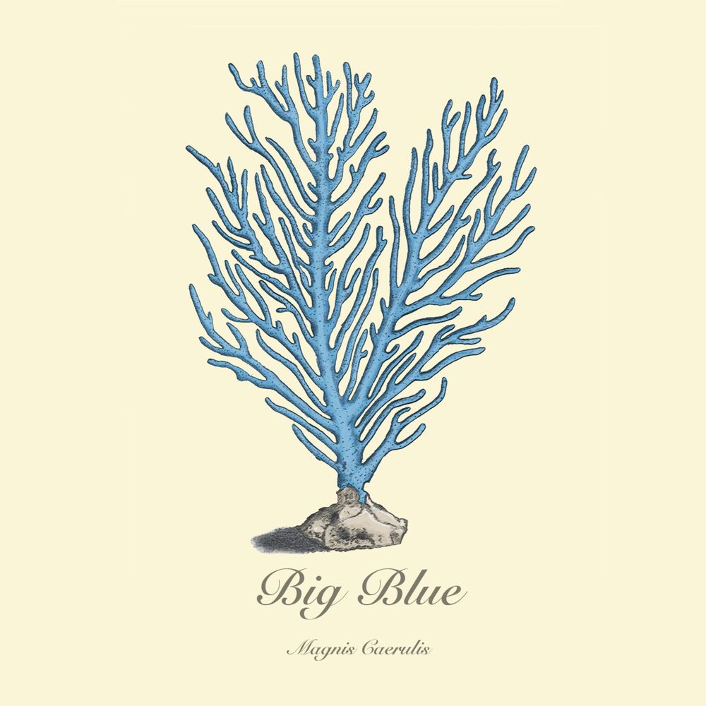Picture of Big Blue