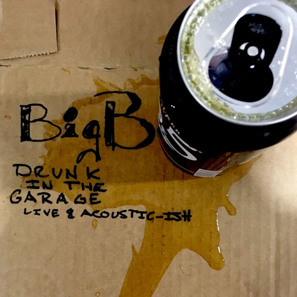 Album cover of Drunk in the Garage: Live & Acoustic-ish