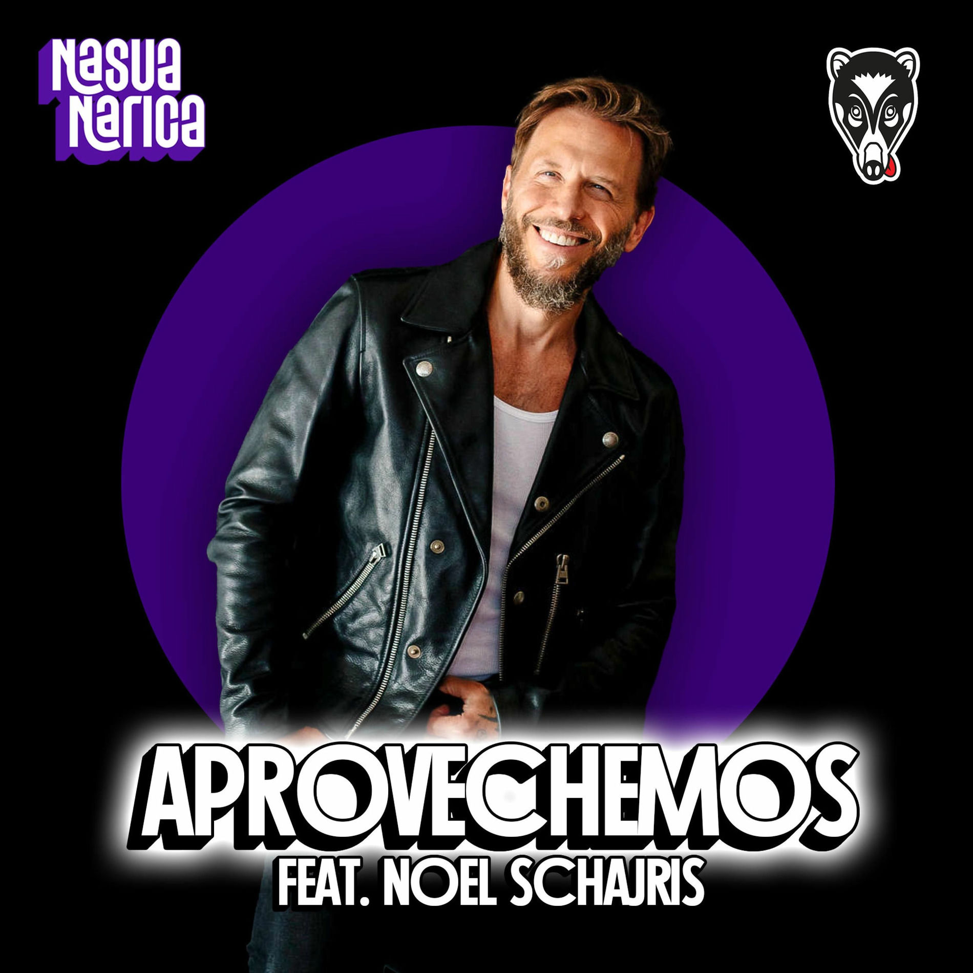Album cover of Aprovechemos (feat. Noel Schajris)