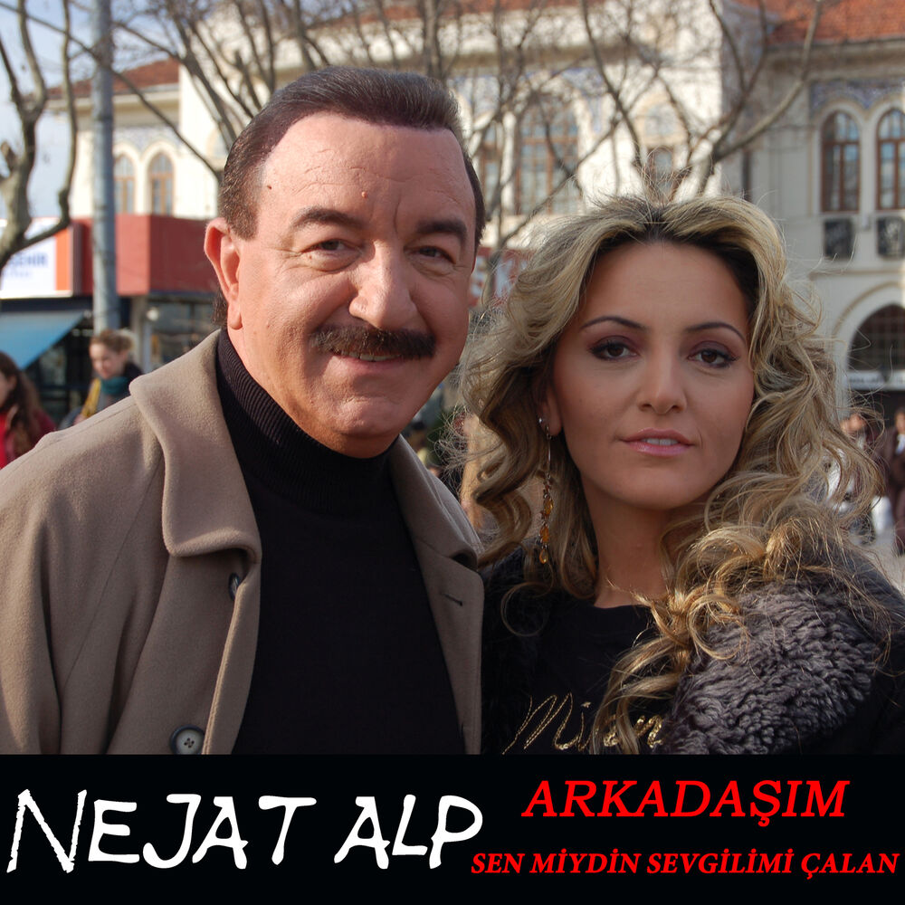 Picture of Arkadaşım / Sen Miydin Sevgilimi Çalan