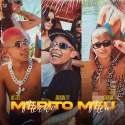 Cover of Mérito Meu