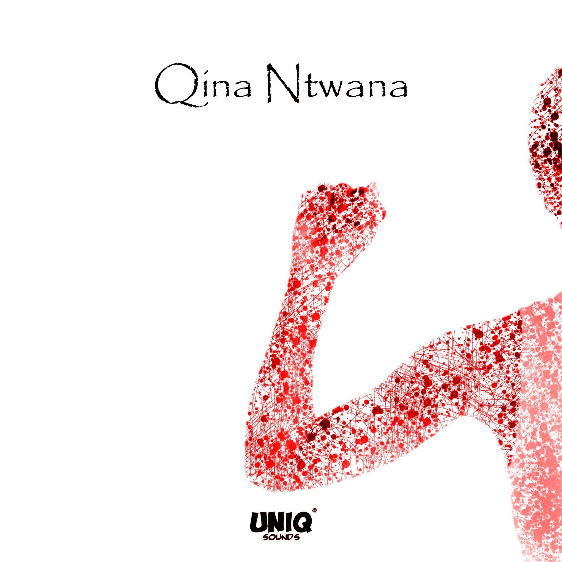 Album cover of Qina Ntwana