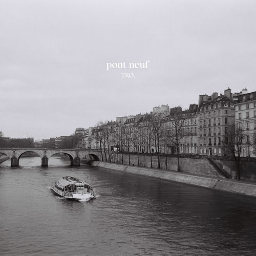 pont neuf