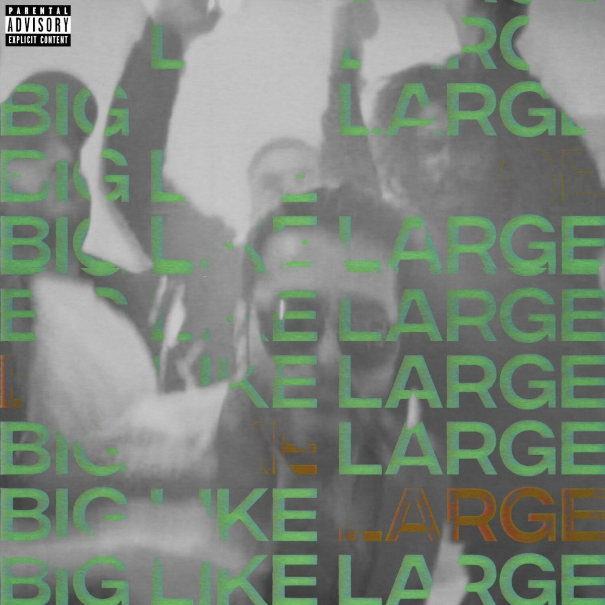 Album cover of BIG LIKE LARGE