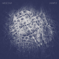 Cover of What If