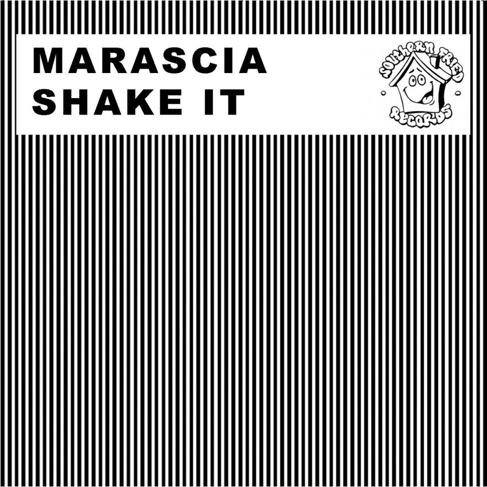Picture of Shake It