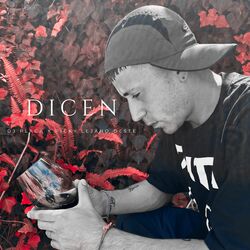 Cover of Dicen