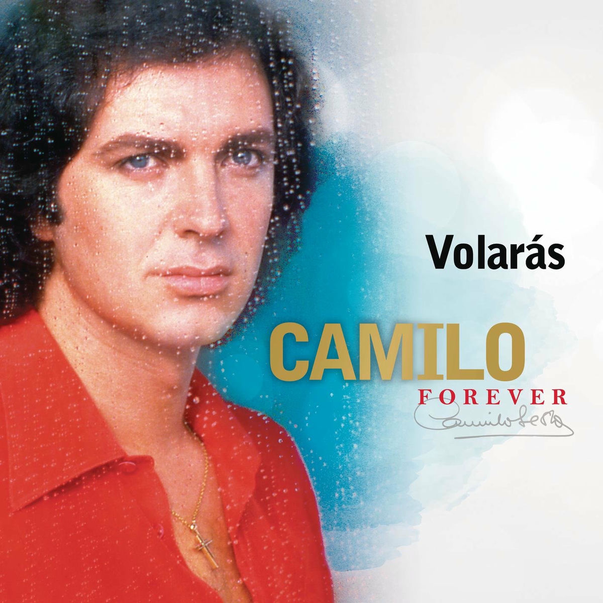 Album cover of Volarás