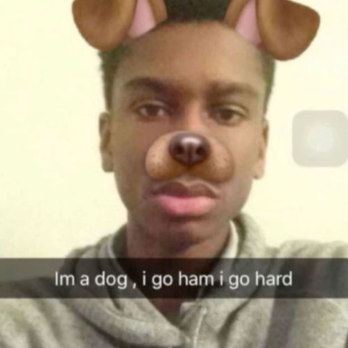 wtf