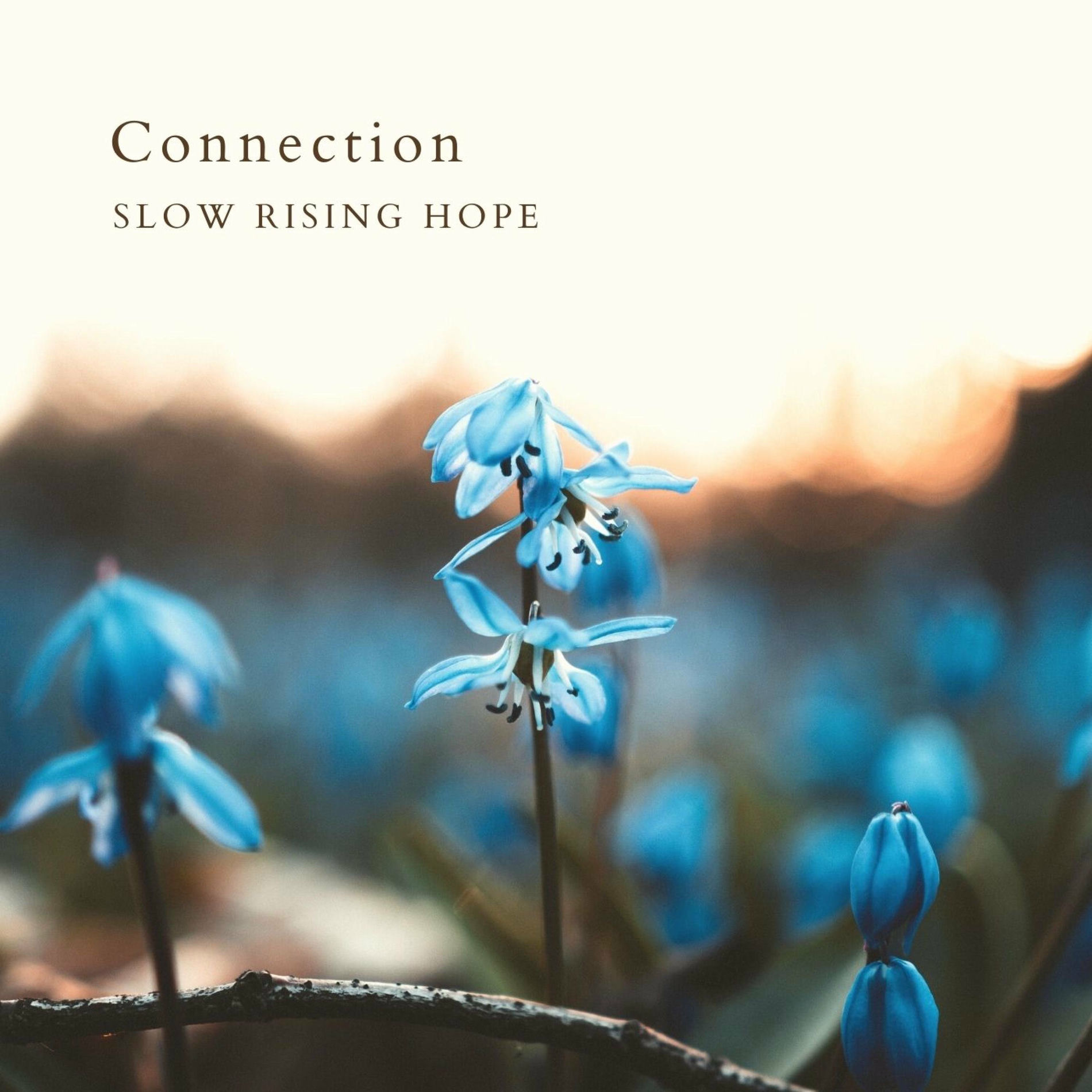 Album cover of Connection