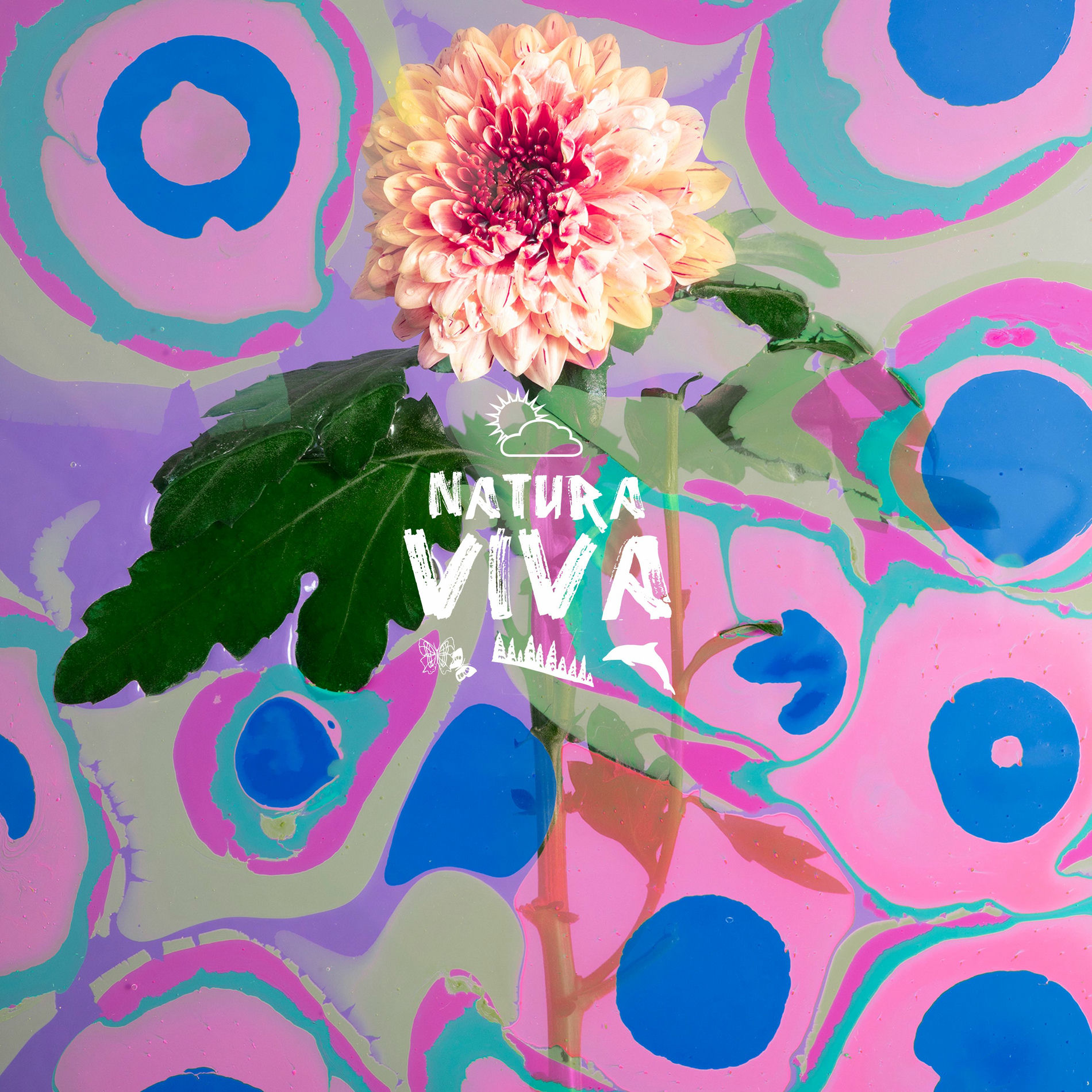 Album cover of Floreale 2