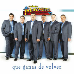 Cover of Que Ganas De Volver