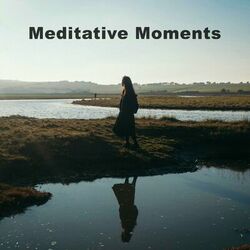 Cover of Meditative Moments