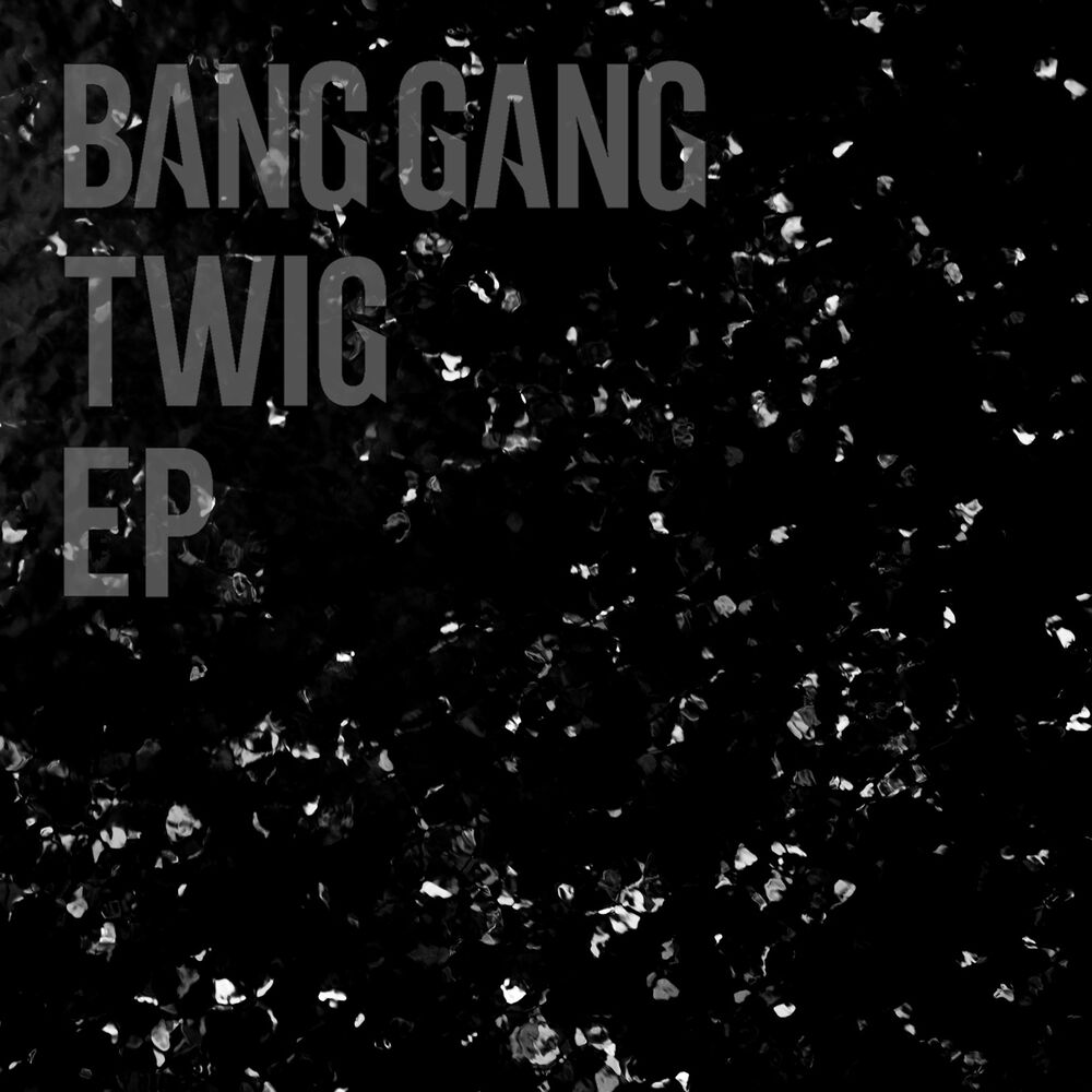 Picture of TWIG - EP