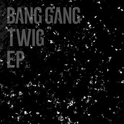 Cover of TWIG - EP