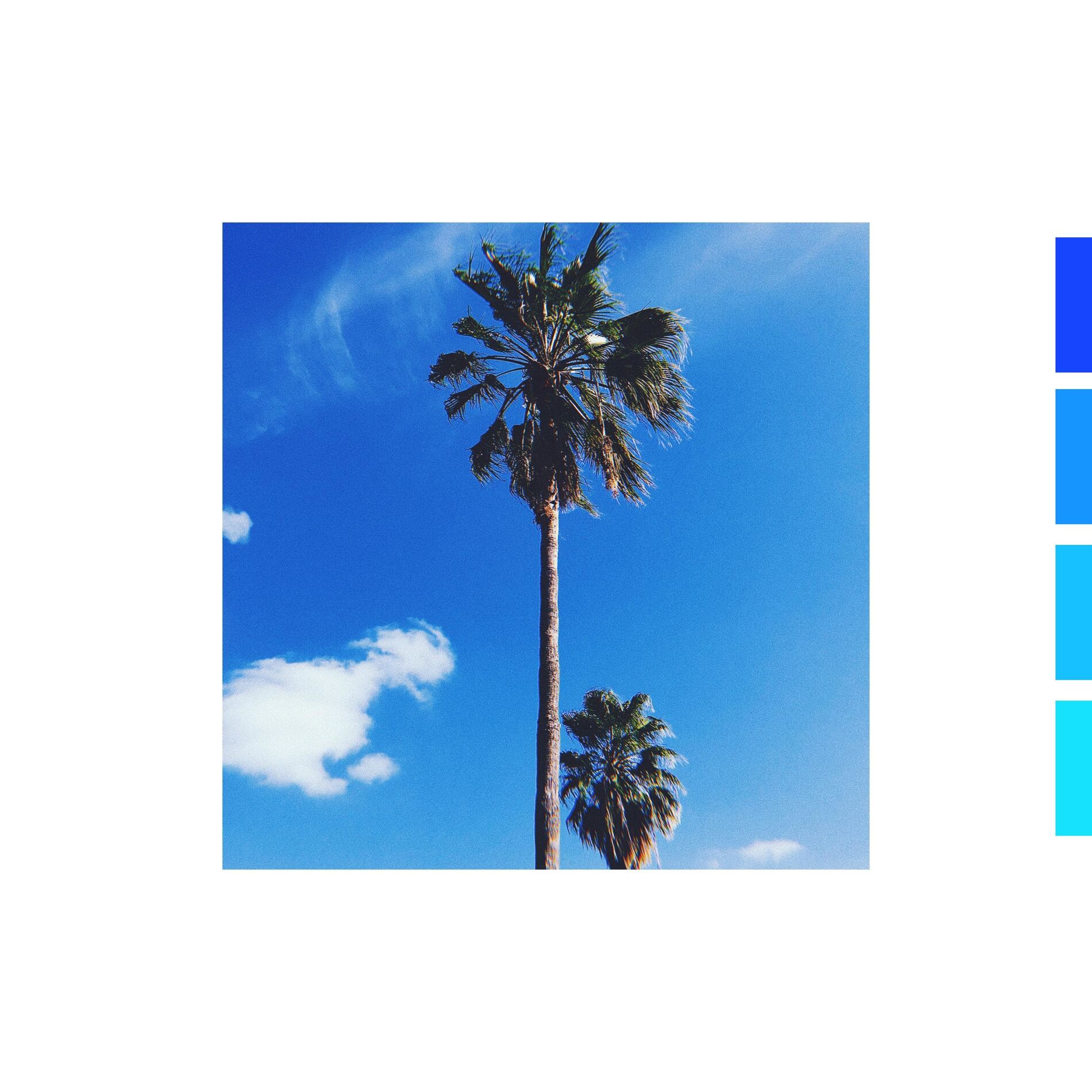 Album cover of Purpose